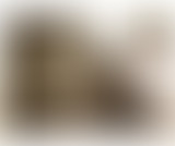 Proxima Estacion reçoit Toninho Do Carmo