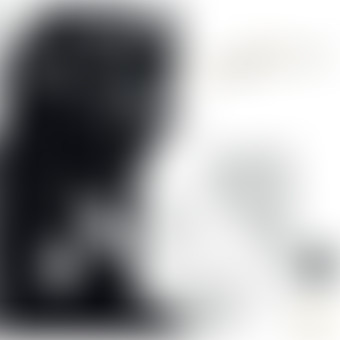 Tiwony @ Bam Salute Show