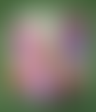 MINI GRATIN BD - 2/5 - LES ÉDITIONS MATIÈRE