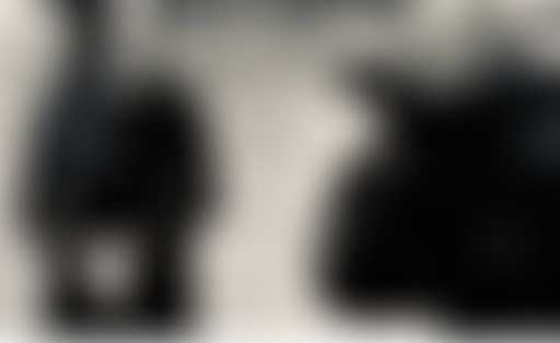 PROXIMA ESTACÍON reçoit ELLINOA "The Ballad of Oph...