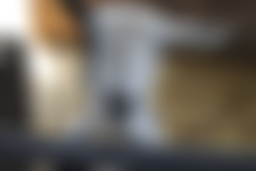 La porte à côté : Des plantes pour soigner les bêt...