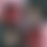 Sandwich Triangle / PP-R & Fourmi