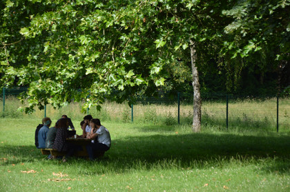 À Lille, l'école prend l'air