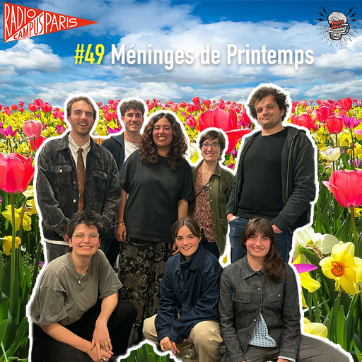 #49 - Méninges de printemps
