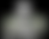 Chablis Hebdo : Sarko sort un album