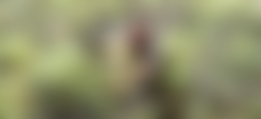 Extérieur Nuit x Cannes : ARTHUR HARARI - Intervie...