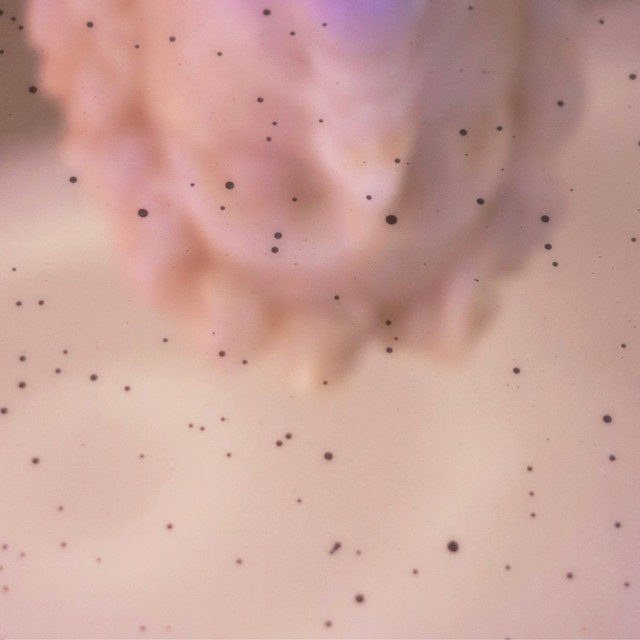 Vous êtes parfait.e.s