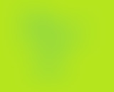 CHABLIS HEBDO // BEST OF 2019-2020