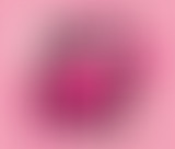 Pièces Détachées : L'émergence dans tous ses états