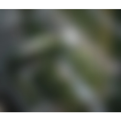 La relève + de jardin dans les villes avec H. Meunier//25 03 19 episode artwork
