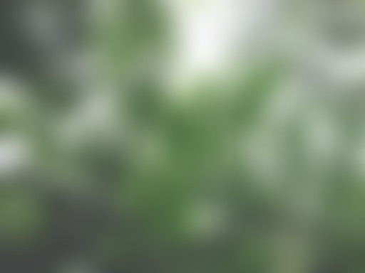 37°2 / Béatrice, la hauteur de vue