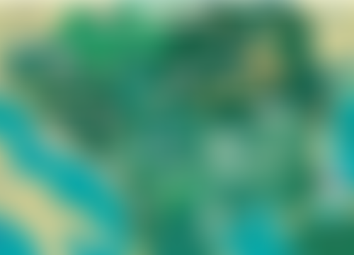 Mercredi ! Musique des Balkans