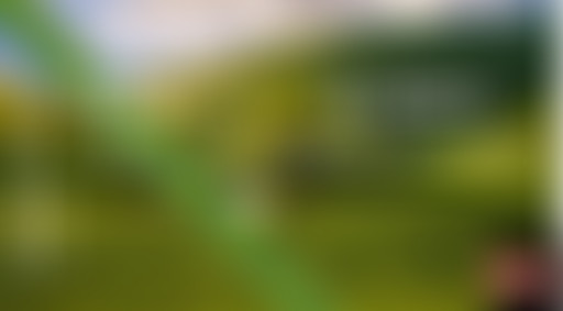 Récréation Sonore : La nature #1  // 9 mai 2021