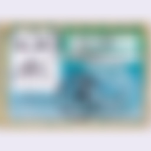 Johnkôôl Records: Reggiani's Bombance 'sunny' Djse...