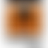 Chablis Hebdo reçoit David AZENCOT