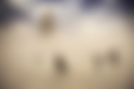 Paris Ouest-exposition : BURNING MAN de Victor Hab...