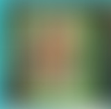 HISTOIRES DE : 60's et Tropicalisme au Brésil