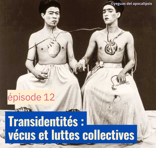 Épisode Transidentités : vécus et luttes collectives de l'émission Semillas Latinas
