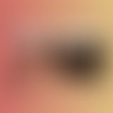 Broken Art Club x Fhin