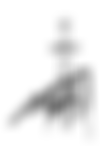 ORNC : Le roi Arthur (2017)