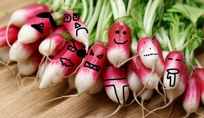 Épisode Chablis Hebdo - Le bilan carbone des radis de l'émission Chablis Hebdo