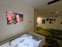 Un été culturel et européen à Paris : Simone Veil et ses sœurs au Mémorial de la Shoah