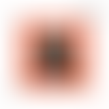 HISTOIRES DE: BOOM BAP & INTERVIEW PROFEYS