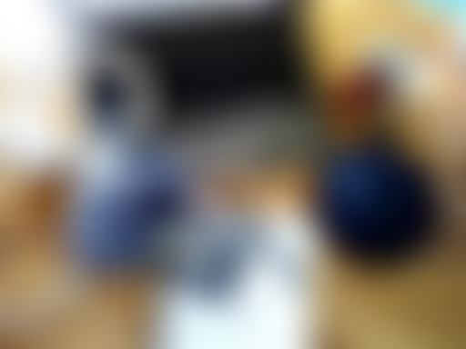 LPCX : Les petits cailloux n'ont pas de logement s...