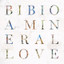 Bibio • Town & Country