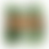 Yummy // Zamrock & nouveautés