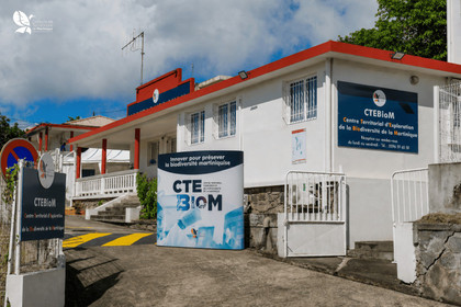 En Martinique, un centre de recherche pour protéger la biodiversité locale soutenu par l’Union européenne