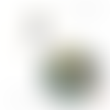 MUSIQUES HYBRIDES : LE KOMPA