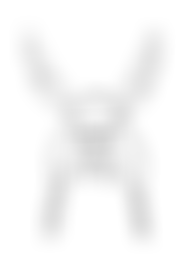 ORNC : Vercingétorix, la légende du druide roi, 20...