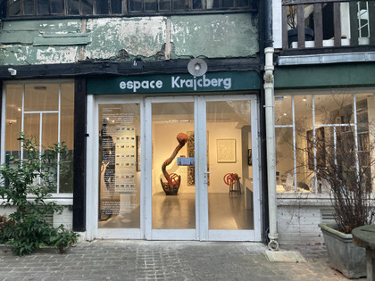 “Frans Krajcberg, le militant” : la nouvelle exposition sur l'artiste international