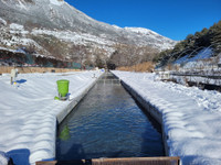 Dans les Hautes-Alpes, la pisciculture des Écrins se modernise grâce aux soutiens européens - L'Europe vue d'ici #143