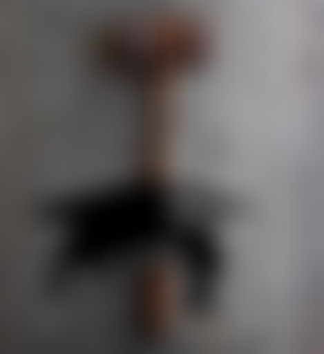 Après les études : Awa, avocate en transition