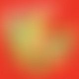 Cherche la petite bête : Columba livia