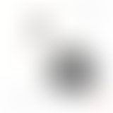 MUSIQUES HYBRIDES : LA BIGUINE PART. 2