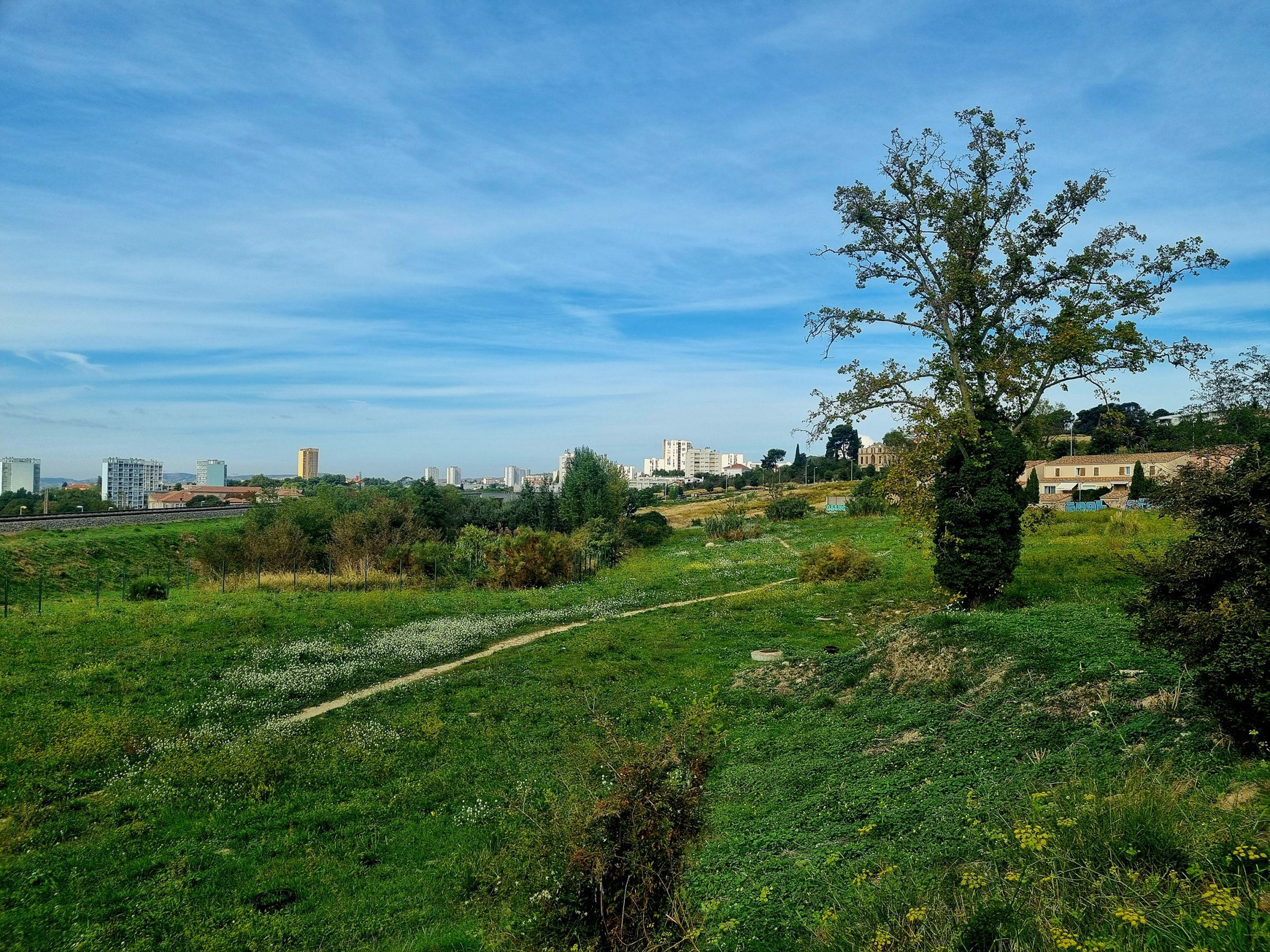 Sur les hauteurs de Sainte-Marthe, pendant la formation-balade Villes-Terrestres à Marseille (Octobre 2025) Villes Terrestre, une approche protéiforme pour imaginer des villes (vraiment) écologiques - L'Europe vue d'ici #136