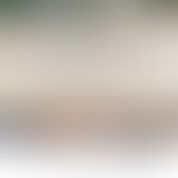 Le demi-heure // Partis politiques et féminisme(s)...