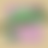 Le snob d’un autre : les snobismes vestimentaires