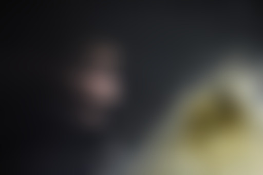 Pièces Détachées : Frasques scéniques