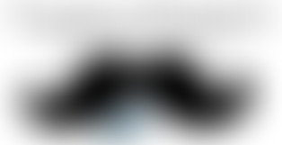 Chablis Hebdo : Il ne lui manque que la moustache