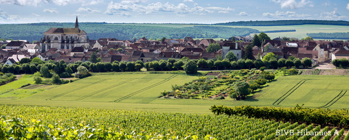 Épisode LCSLT : La Bourgogne, hors des sentiers battus de l'émission Les coudes sur la table