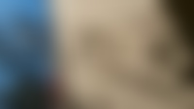 Pièces détachées: Nouvelles écritures