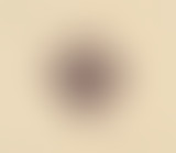 Yummy // Nouveautés & musique au coin du feu part....