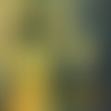 Yummy : aux confluents du psychédélisme