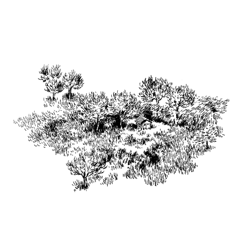 Épisode Le gratin 24 : Nylso de l'émission Studio Articho