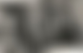 37.2 / Compagnons du devoir et cravate à pois vert...