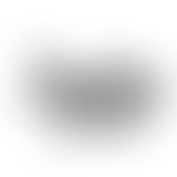 Le gratin 24 : Nylso